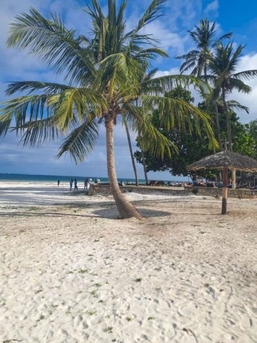 Diani Beach 6
